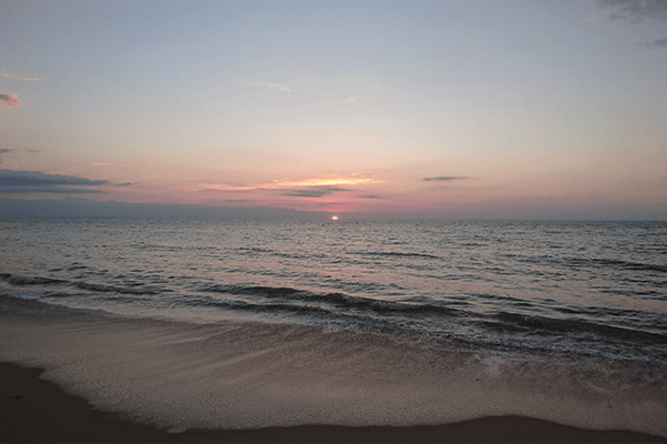 Siamese Sunsets