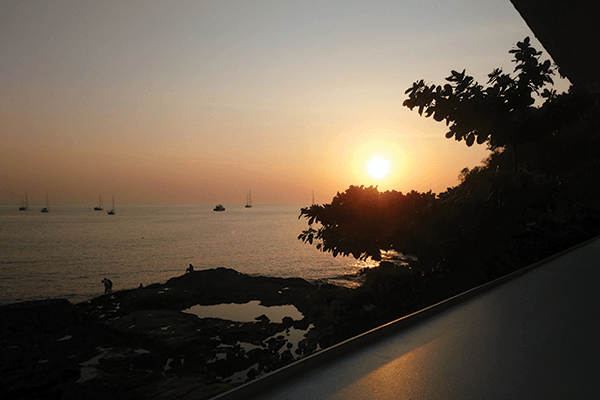 Siamese Sunsets