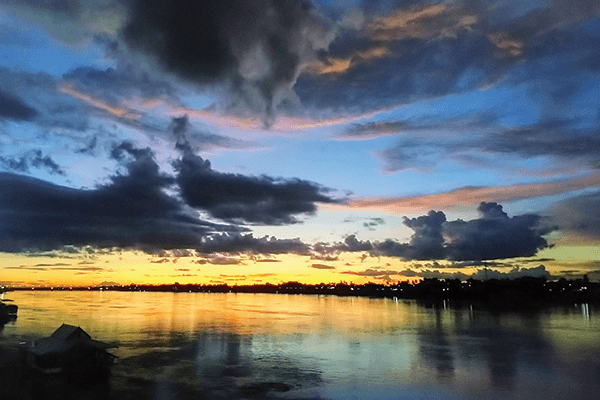 Siamese Sunsets