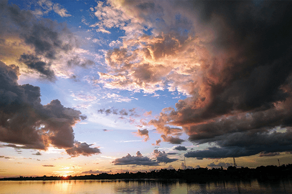 Siamese Sunsets