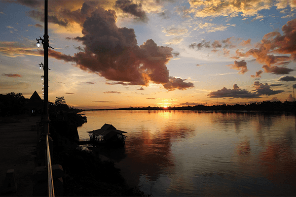 Siamese Sunsets