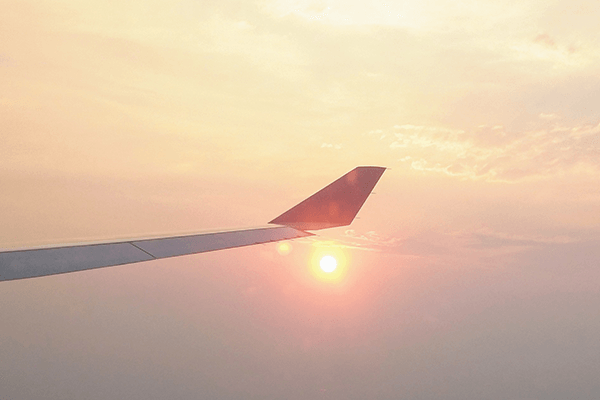 Siamese Sunsets