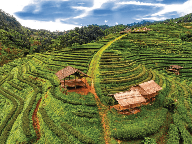 Thailand Landscape