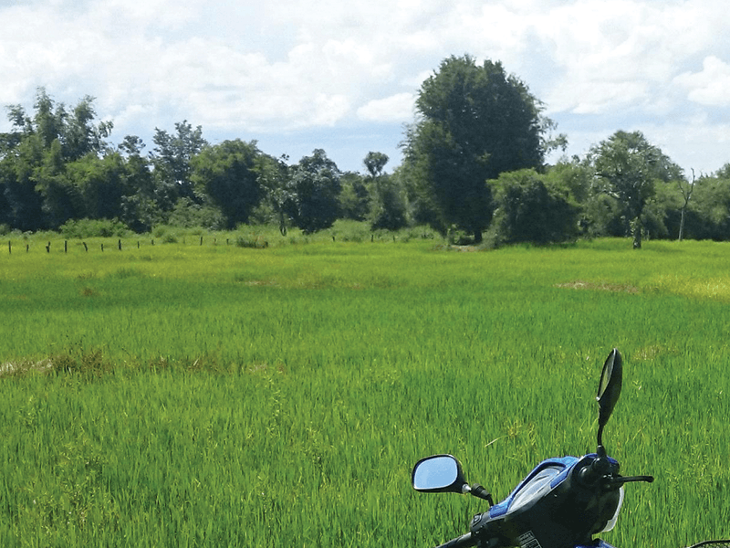 Thailand Landscape